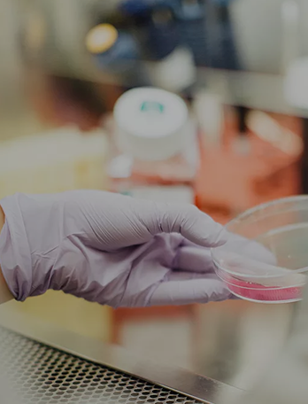 97����-(�й���)�ٷ���վ