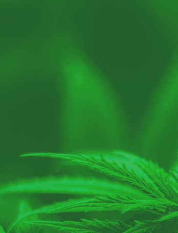 97����-(�й���)�ٷ���վ